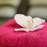 Mas La Farelle D'hote,fitness & Salle De Jeux Gratuite & En Supplement Nîmes