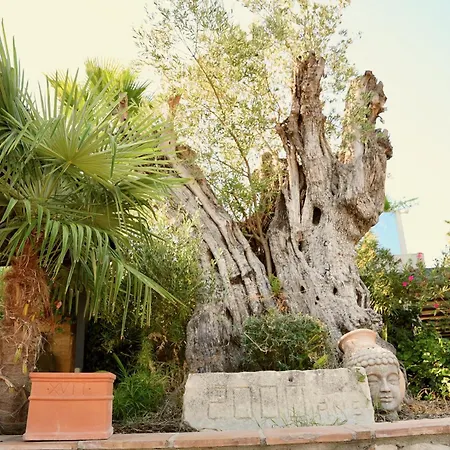 Bed and breakfast Mas La Farelle D'hote,fitness&salle De Jeux Gratuite&spa En Supplément Nimes