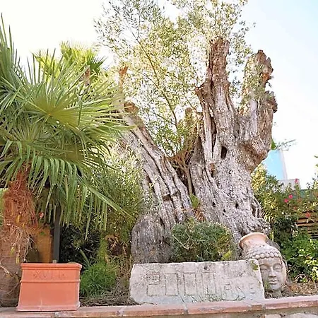 Mas La Farelle D'hote,fitness & Salle De Jeux Gratuite & En Supplement Bed & Breakfast Nîmes