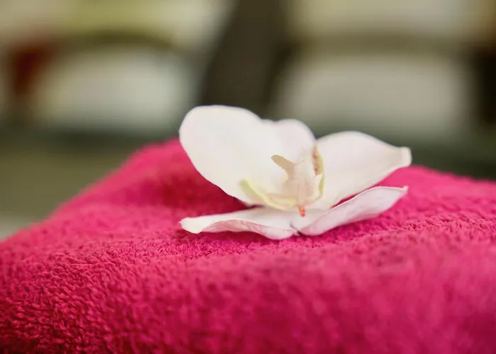 Mas La Farelle D'hote,fitness&salle De Jeux Gratuite&spa En Supplément Nimes