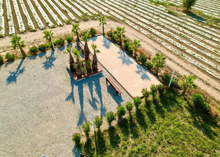 Mas La Farelle D'hote,fitness & Salle De Jeux Gratuite & En Supplement 4* Nîmes