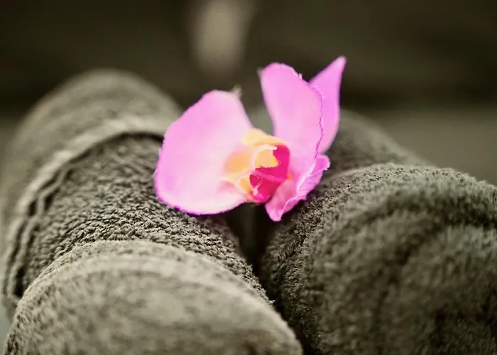 Mas La Farelle D'hote,fitness&salle De Jeux Gratuite&spa En Supplément Bed and breakfast