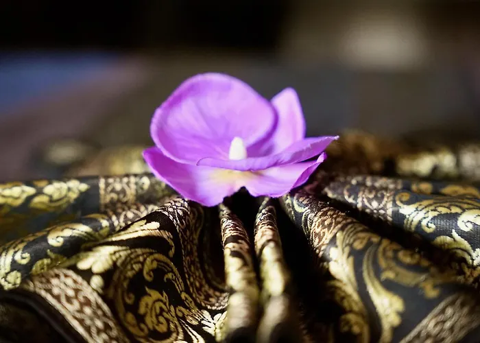 Mas La Farelle D'hote,fitness&salle De Jeux Gratuite&spa En Supplément Bed and breakfast Nimes