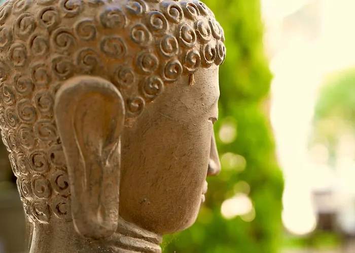 Mas La Farelle D'hote,fitness & Salle De Jeux Gratuite & En Supplement 4*