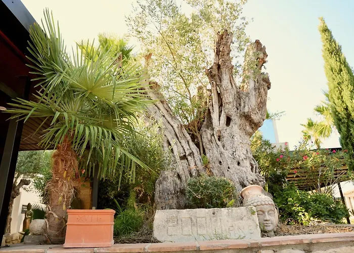 Bed and breakfast Mas La Farelle D'hote,fitness&salle De Jeux Gratuite&spa En Supplément Nimes